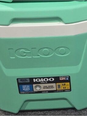 Igloo Cooler in Mint and White Trim